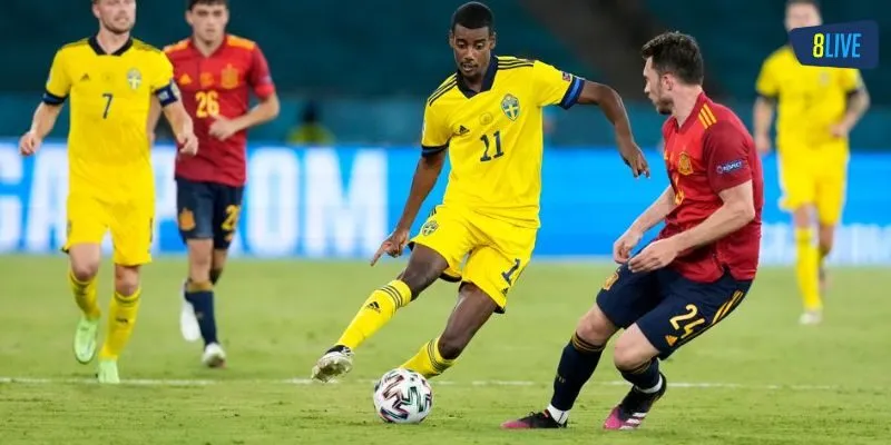 Lưu ý khi chơi người chơi mới cần nắm