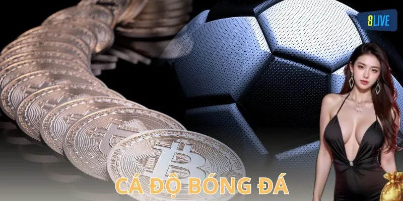 Các hình thức cá độ bóng đá phổ biến