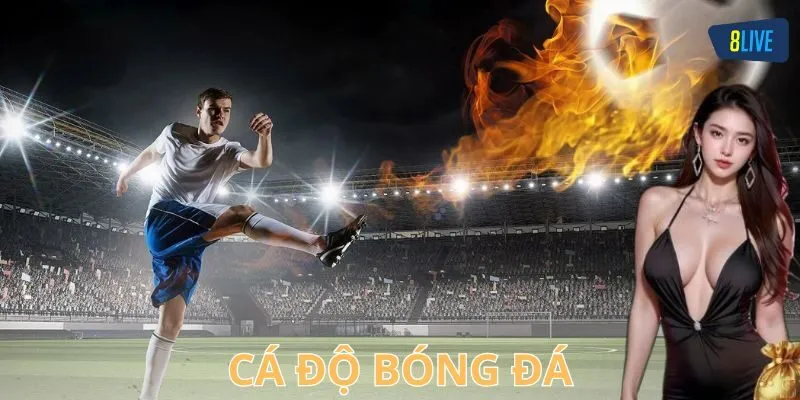 Chiến thuật và bí quyết cá độ bóng đá hiệu quả