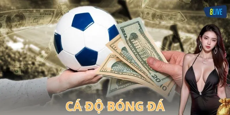 Giới thiệu về cá độ bóng đá