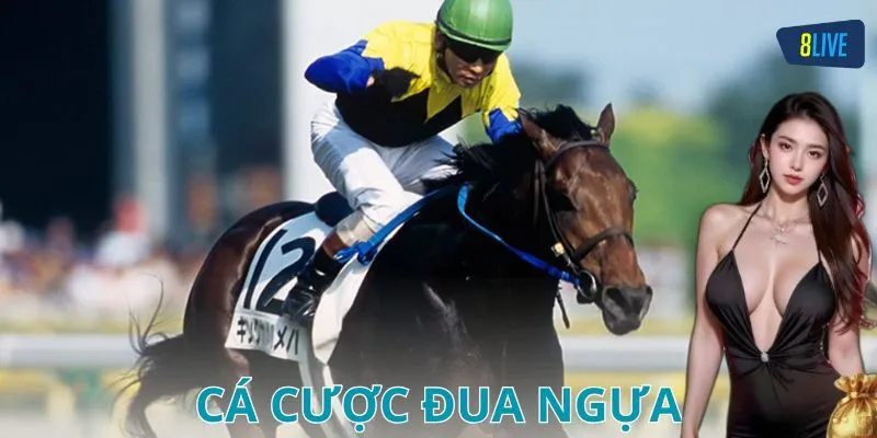 Lưu ý khi tham gia cá cược đua ngựa