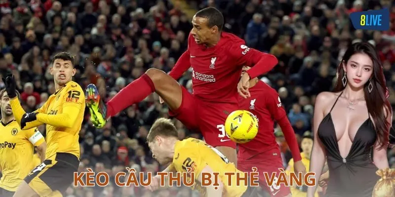 Nhà cái và những lưu ý khi chơi kèo thẻ vàng